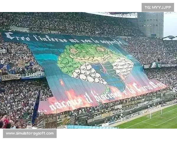 球迷文化成赛场亮点，英超各队看台TIFO展示创意比拼